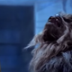 Illustration for article titled Man, fuck these Chewbacca shoes